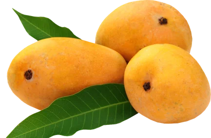 Payari