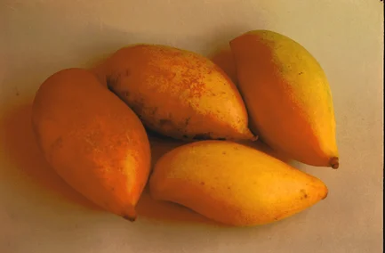 Rajapuri